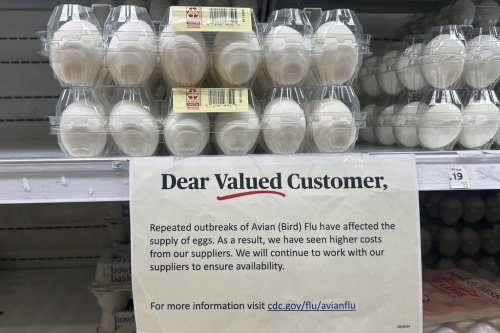 No, egg farmers are not the bad guys: The real reason egg prices spiked this winter