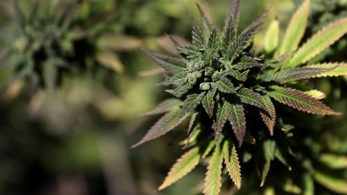 Illinois sends legal recreational marijuana bill to governor’s desk