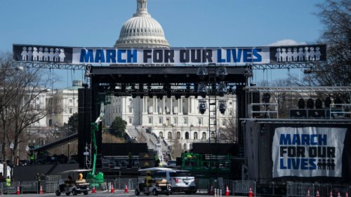 Student-led gun control group planning nationwide protests, march on DC