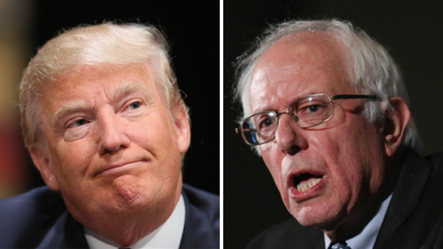 Trump pollster: Sanders would have won general election