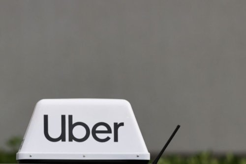 Paternity tests and turtles: Uber reveals weirdest things left behind by riders