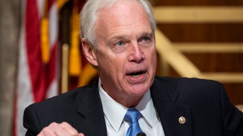 Ron Johnson praises conservative author bashed by Fauci