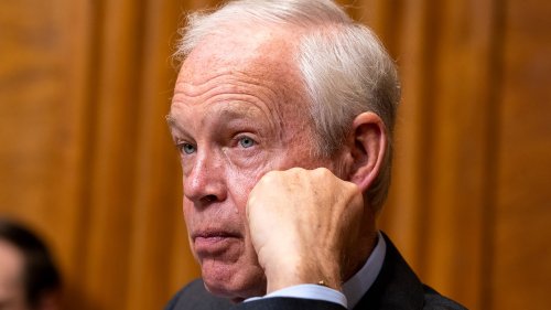 GOP Sen. Ron Johnson says he’s not sure McConnell photo with Chao is new