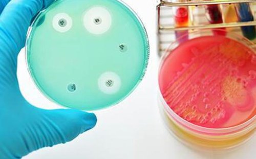 How can India deal with the challenge of anti-microbial resistance? An expert speaks