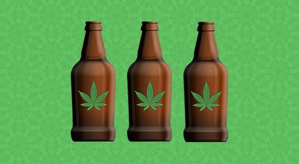 Weed report: Cannabis-infused beverages reportedly taste like urine - The Hustle
