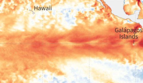 NOAA: 85% Chance El Niño Ends By June, La Niña Follows