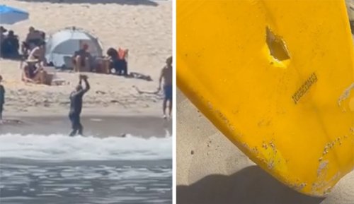 The ‘Angriest Man in Surfing’ Proves the Days of Violent Surf Regulation Are Done