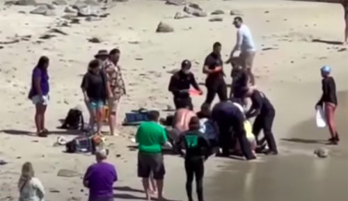 Experts Estimate Shark That Attacked Swimmer in Monterey County Was 20 Feet Long | The Inertia