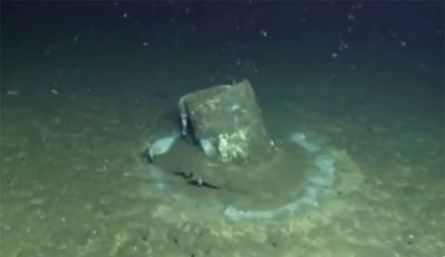 There's a Huge DDT Dumping Ground in the Ocean Off Los Angeles, and It's Got Scientists Worried