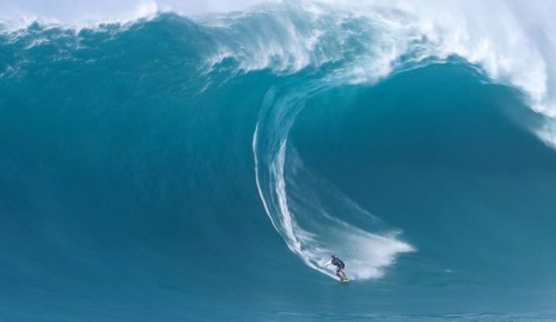 Jaws Went Absolutely Mental During the Eddie Swell