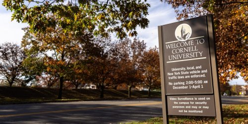 Cornell to Pro-Palestine Students Targeted by ICE: Come Back to the U.S. or Lose Funding