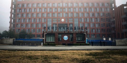 Documents Link Potential Covid Patient Zero to U.S.-Funded Research in Wuhan