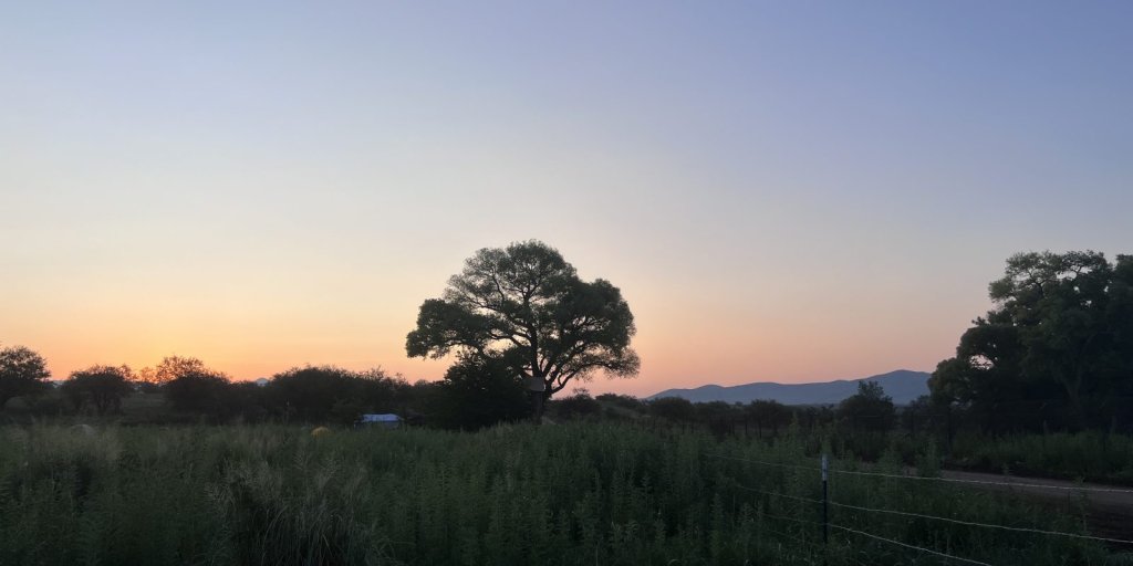 Environment - cover