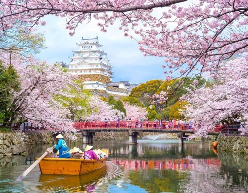 Planning a Trip to Japan? 20+ Essential Travel Tips for 2022/23