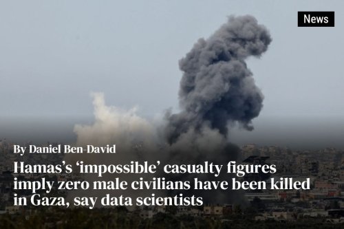 Hamas’s ‘impossible’ casualty figures imply zero male civilians have been killed in Gaza, say data scientists