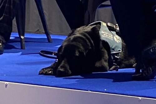 ‘Israel Guide Dog Centre teaches the world what Israel’s values are’