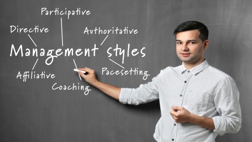 3 categories and 8 subcategories of management styles