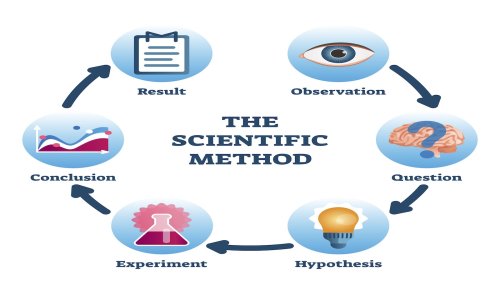 What are the 7 scientific method steps?