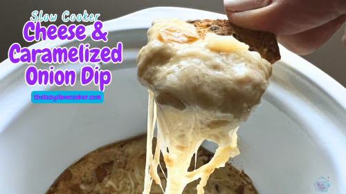 Slow Cooker Cheesy Onion Dip