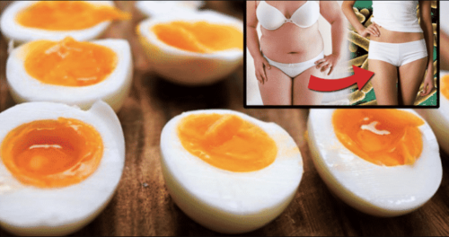 The Boiled Egg Diet – Lose 24 Pounds In Just 2 Weeks