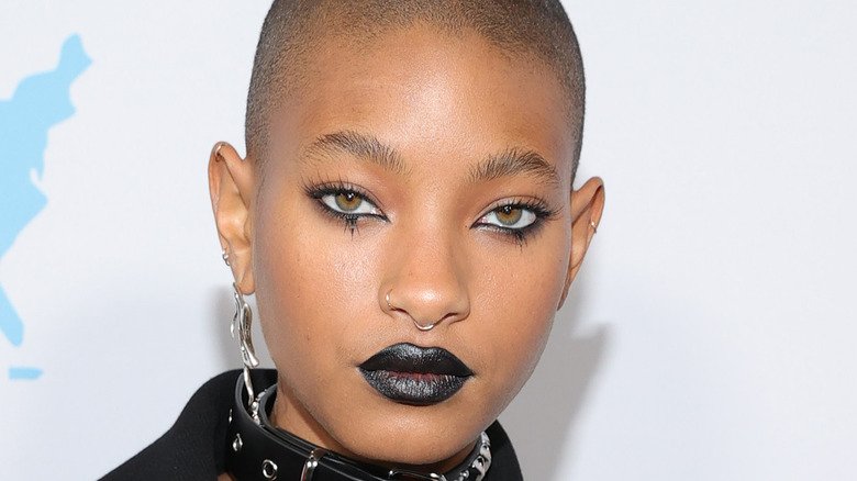 The Untold Truth Of Willow Smith