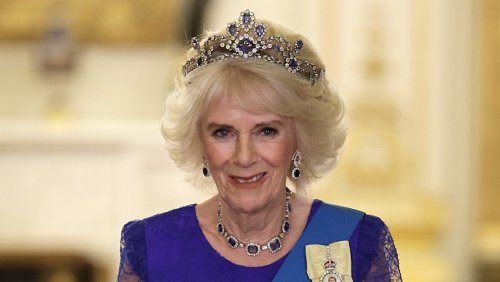 Celebrities Who Have Ancestry Connections With Queen Camilla