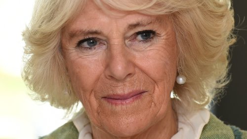 Royal Author Claims Queen Camilla's Relationship With Prince William's Children Isn't What We Expected