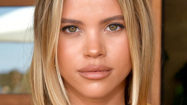 The Untold Truth Of Sofia Richie