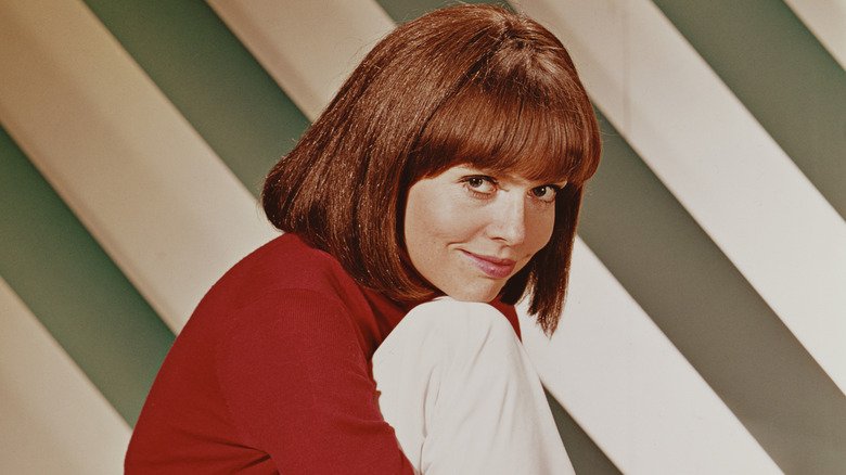 Barbara Feldon: The Transformation Of The Only Surviving Cast Member Of Get Smart