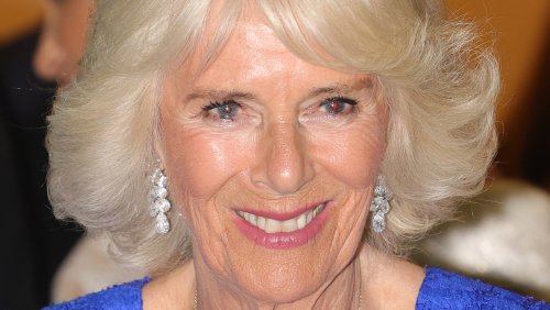 Camilla Parker Bowles Reportedly Endured An Offensive Label When She Married Prince Charles