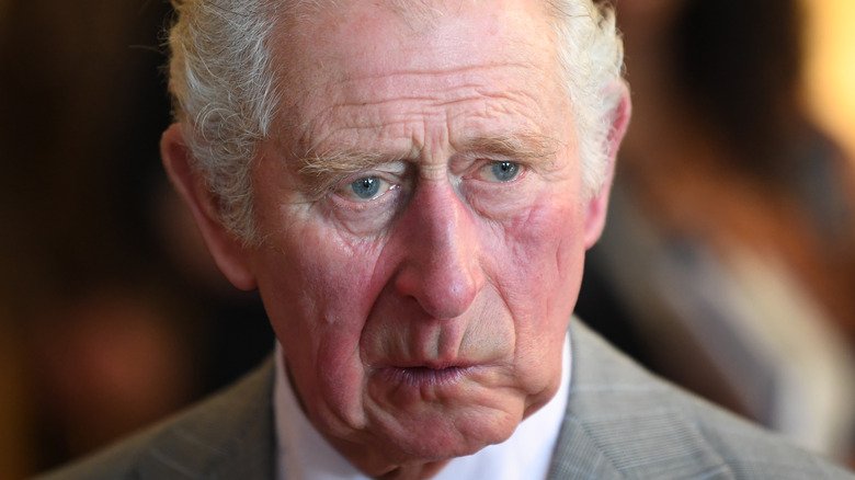 Strange Facts About Prince Charles