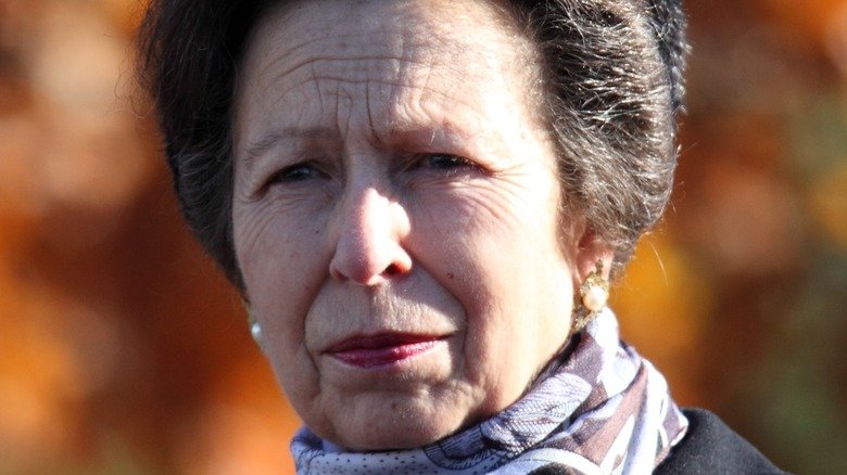 Here's How Princess Anne Got Her Honorary Military Titles And Medals