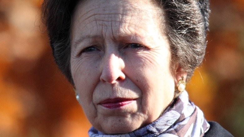 Strange Facts About Princess Anne
