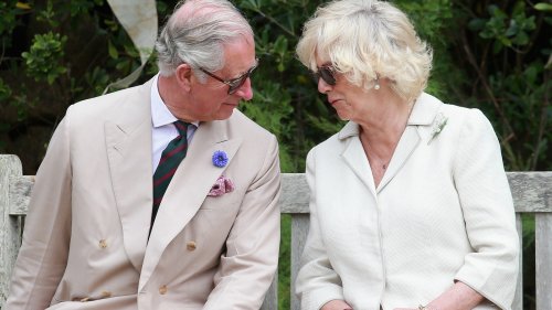 Why King Charles And Queen Camilla Could Not Hide Their Affair From Princess Diana