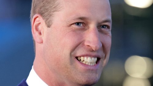 Prince William Is Reportedly Returning To Harry's Favorite Pastime