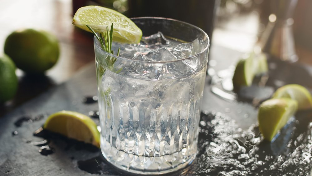 When You Drink Gin Every Night, This Is What Happens To Your Body