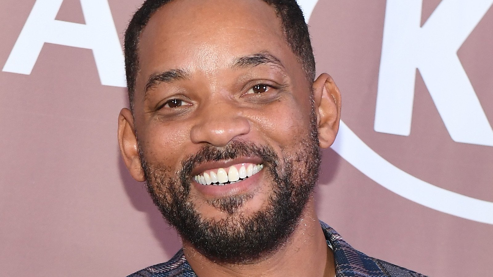 Will Smith And His Family Are Worth More Than You Think