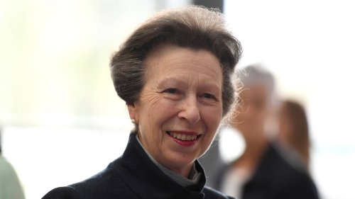 Princess Anne's Viral Interaction With Donald Trump Explained