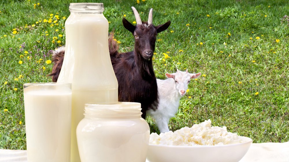 The Surprising Benefits Goat Milk Has On Your Skin