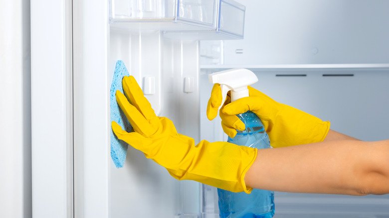 How Often Should You Be Cleaning Your Fridge?