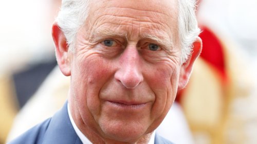 Royal Author Believes King Charles Wed Princess Diana Over Queen Camilla For One Reason