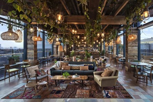 Treehouse London launches 'safari style supper' perched high above Regent Street