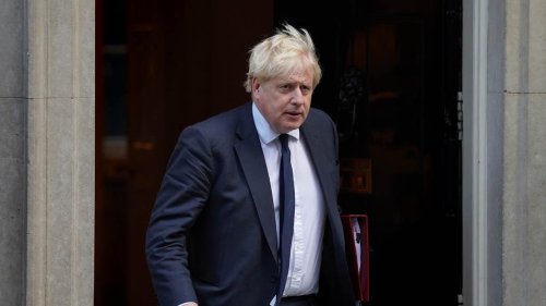 No 10 admits it DID instigate meeting between Boris Johnson and Sue Gray