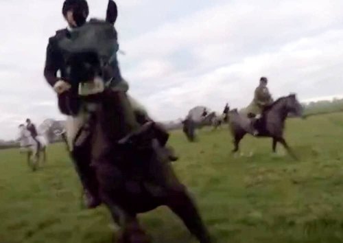 Police launch investigation after footage shows hunt sab trampled by horse