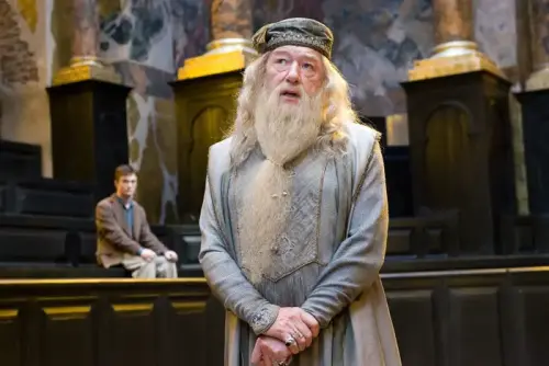 RIP Dumbledore: Sir Michael Gambon dies aged 82