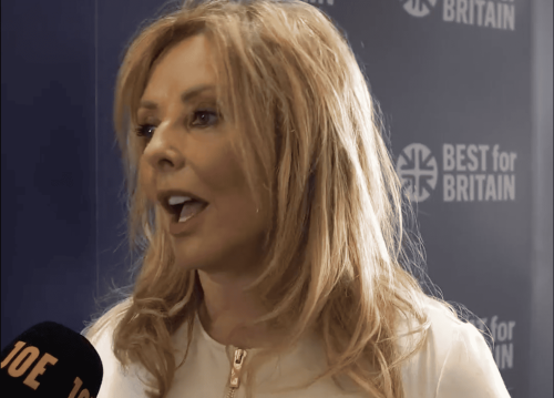 Carol Vorderman says the Tories are corrupt- and the media is complicit