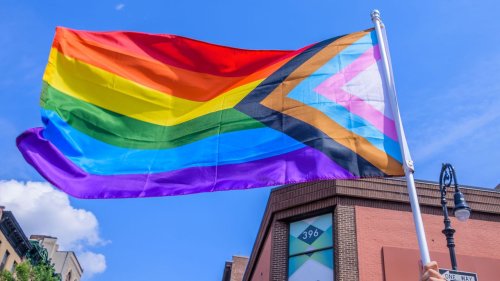 Pride Flags 101: Everything You've Ever Wanted to Know About Gay, Trans, and Other Pride Flags