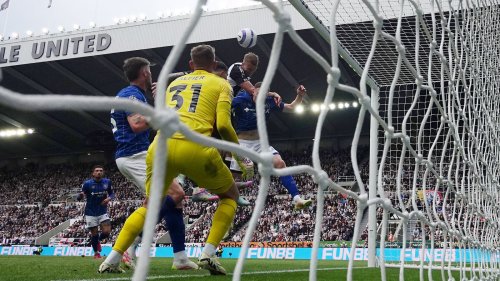 He is my Newcastle United player of the season and that is some accolade, given the competition