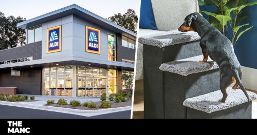Aldi is selling pet steps for £5.99 so little dogs can climb onto sofas or beds