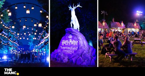 Hugely popular Harry Potter 'forbidden forest' experience to return near Manchester